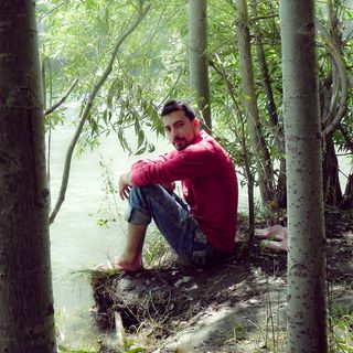 Amirdonte Sh's avatar