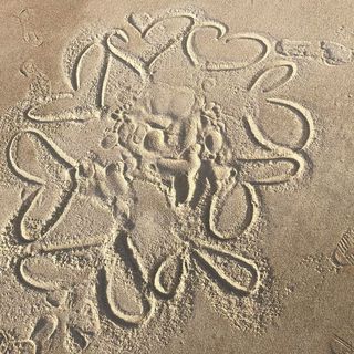 Trudi Taylor's avatar