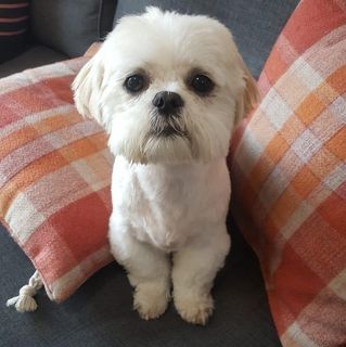 Dawn Ashton's avatar