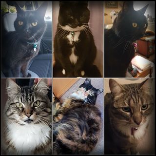 Jo Beszant's avatar