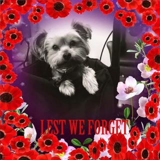 Rita Murray's avatar