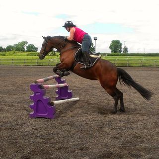 Paula Davies's avatar