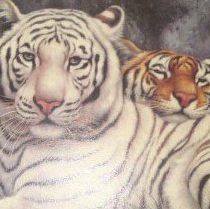 Larressa Wyatt's avatar