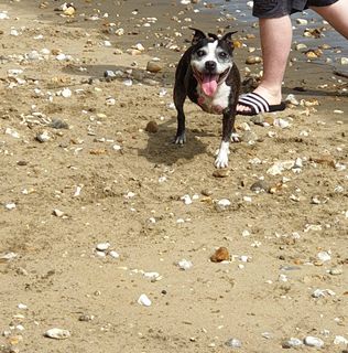 Christine Peters's avatar