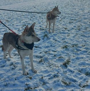 Corinne Everard's avatar