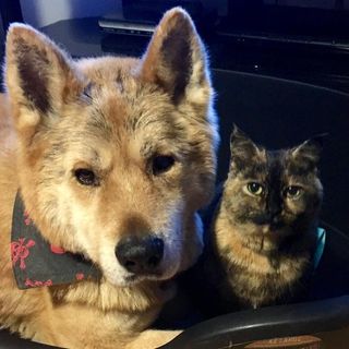 Elizabeth May's avatar