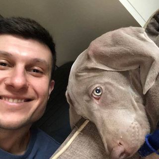 George McCongo's avatar