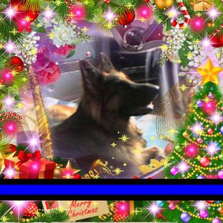 Pat Greaves's avatar