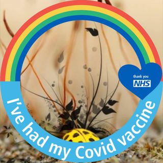 Susan Robinson's avatar