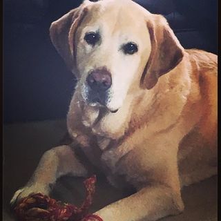 Yvonne Green's avatar