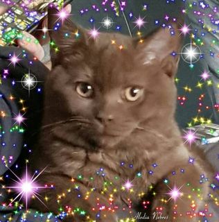 Melanie Keeling's avatar