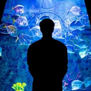 Conor Callaghan's avatar