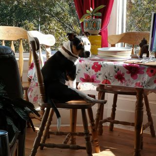 Helen Pemberton's avatar