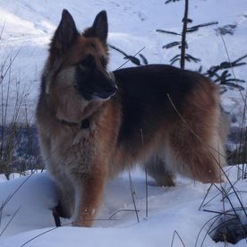 Tony Summerfield's avatar