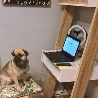 Tshar Gregorio's avatar