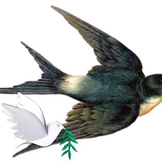 Marian Fern's avatar