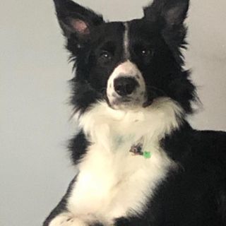 Karen Patrick's avatar