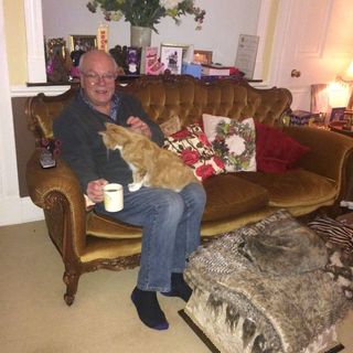 David Howley's avatar
