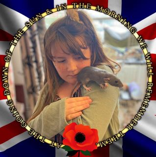 Rob Snell's avatar