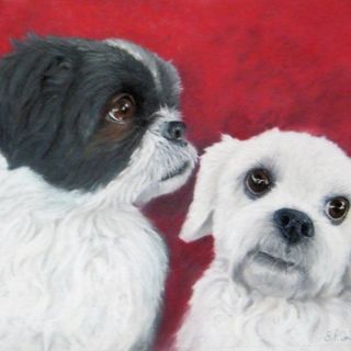 Sharon Spradbury's avatar