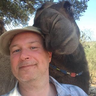 Michael Webb's avatar
