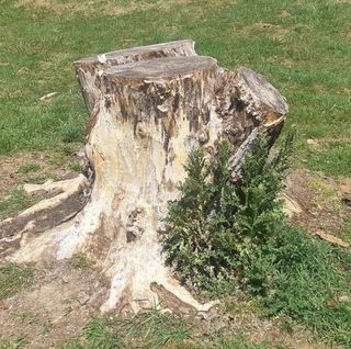 Paul Edwards's avatar