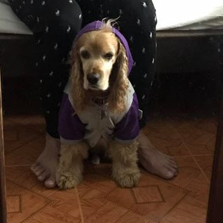 Sebastian Ovalle's avatar