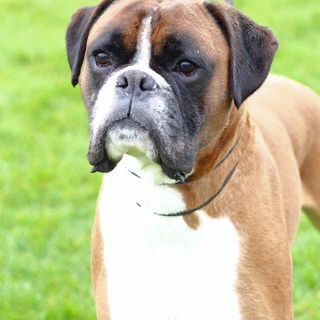 Lorraine Ames's avatar