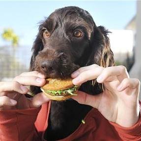 Sue Boulding's avatar