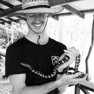 Tyler J. Hall's avatar