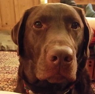 Alex Pearce-Smith's avatar