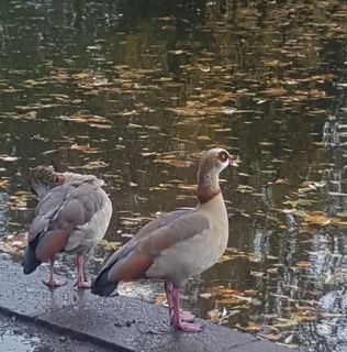 Lee Sawyers Dunbar's avatar