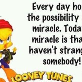 Christine Duffy-Butterfield's avatar