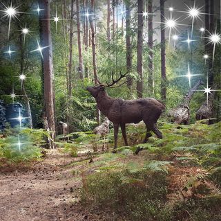 Caroline Dempsey's avatar