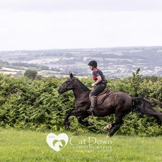 Louise Jane's avatar