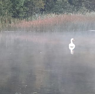 Chris Naylor's avatar