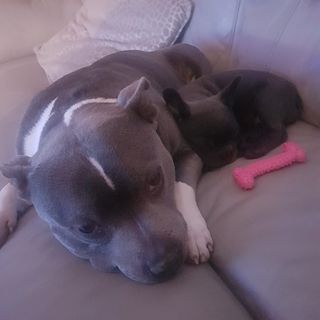 Gemma Dorrington's avatar