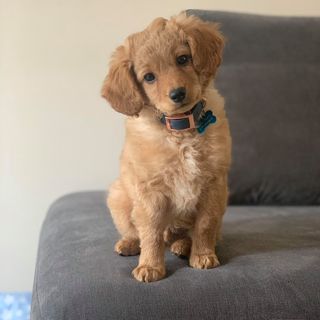 Helen Lawson's avatar