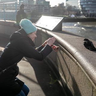 Yulia Yatcenko's avatar