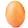 Egg Boi's avatar