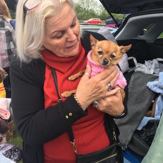 Gillian Emery's avatar