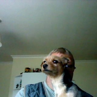 David Beeken's avatar