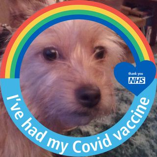 Lorraine Culbert's avatar