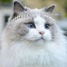 Vitalij Lapinskij's avatar