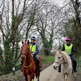 Midge O'Connell's avatar