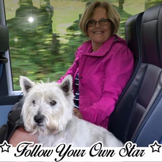 Anne Crossley's avatar