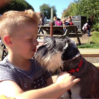 Gillian Cheetham's avatar