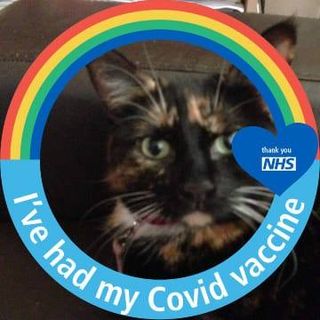 Helena Stedman's avatar