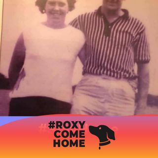 Julie Hornsey's avatar