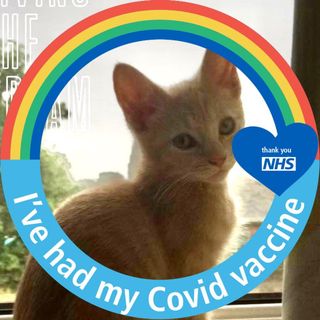 Nicola Surman's avatar